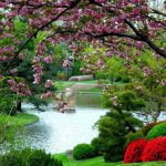 Ngày 11 – Rô-ma 12:9–21 – Nếp Sống Mới — Yêu Thương